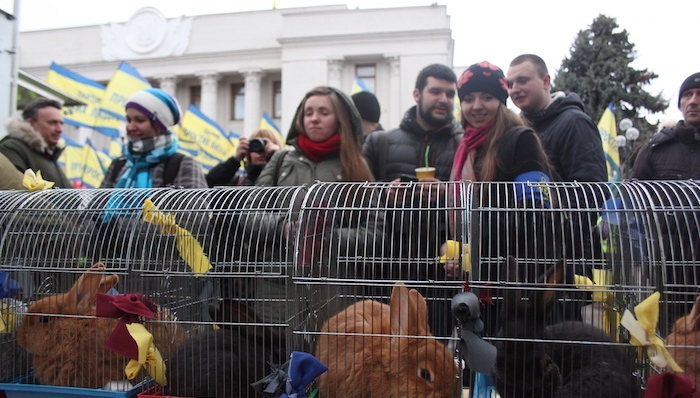 乌克兰,欧洲政治