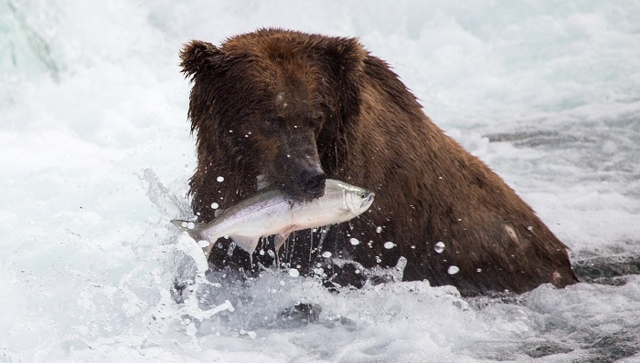 华尔街,最糟糕,五大交易