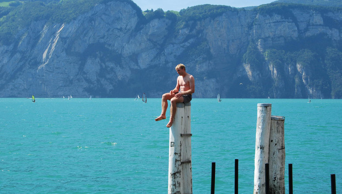 艺术,疯狂,黑熊,旗杆,思考