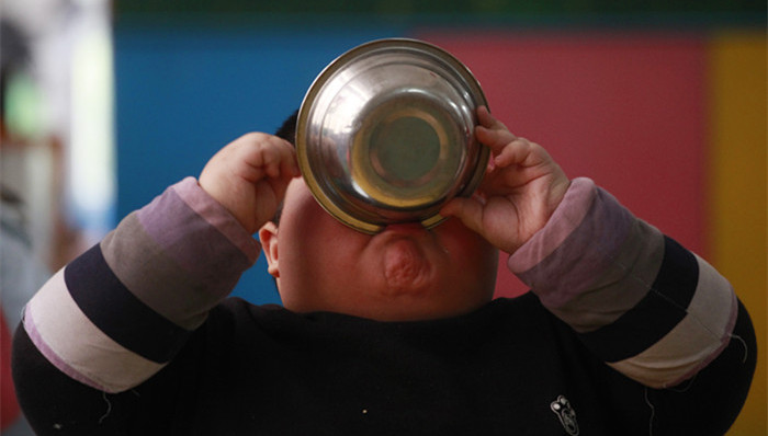 复旦,研究,抗生素,肥胖