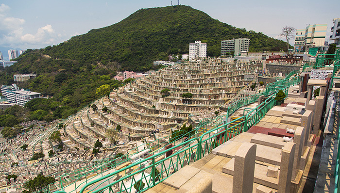 民政部,骨灰,墓葬,合葬,党员干部