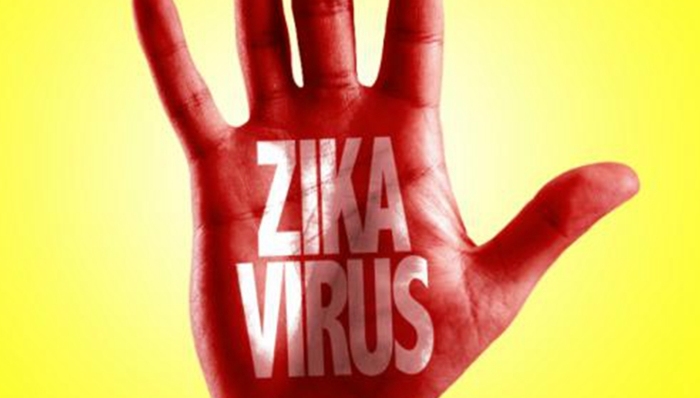 寨卡,美国,巴西