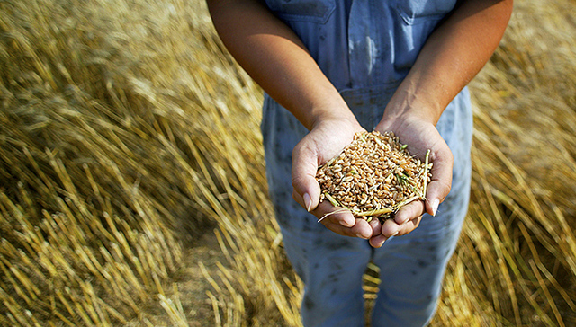 【中国新闻周刊】兰考的“扶贫经济学”