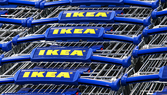 宜家环保用蘑菇做包装