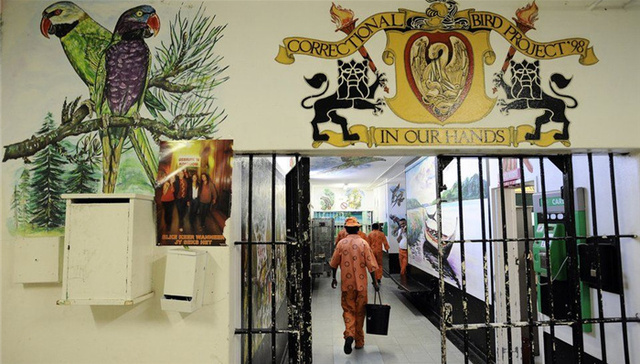 曾经关押曼德拉的监狱 现在成了人间地狱