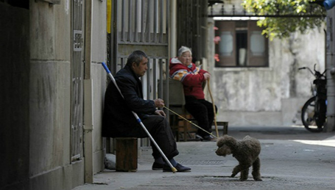 人社部,延迟退休,老龄化