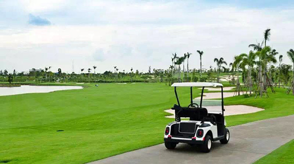 高尔夫,高尔夫运动