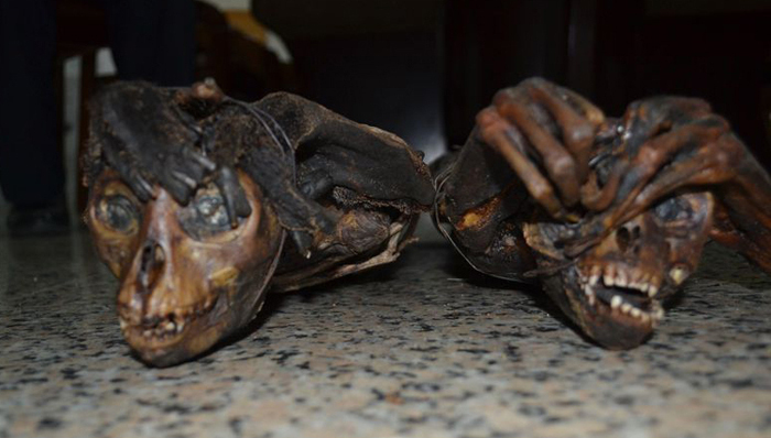 时政热点,社会热点