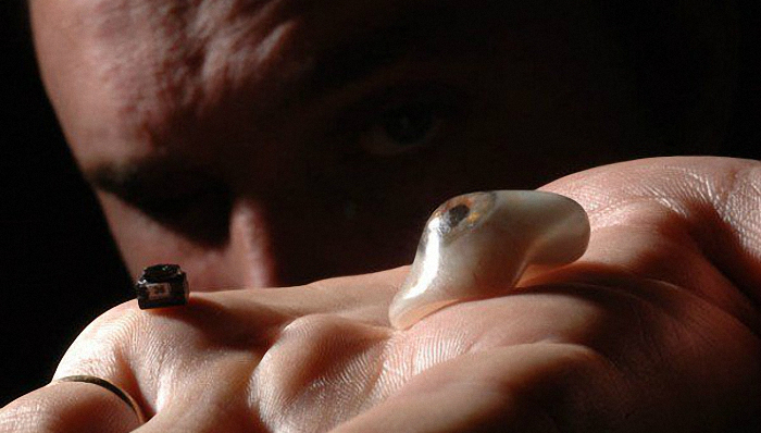 仿生,假体,机械人