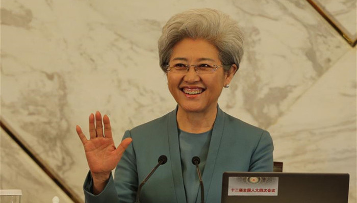 人大,发布会,傅莹,开放小区,王珉,留守儿童