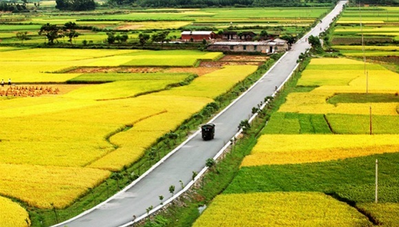 城乡差距，三农问题，农村环境，农民生活