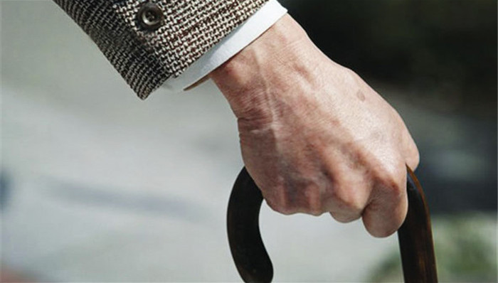 延迟退休,就业,社保费率,,人社部