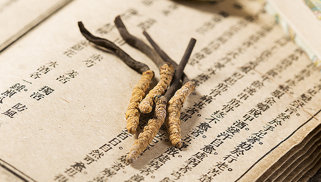 冬虫夏草保健品试点被叫停,青海春天遭遇困局