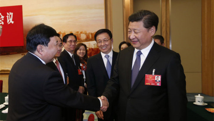 两会,朱雪芹,总书记,白头发