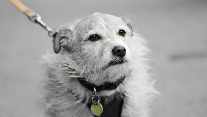 大数据,互联网,移动信息化,《间客》