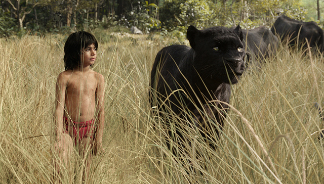 《奇幻森林》定档4月15日 故事的主角是“小小泰山”