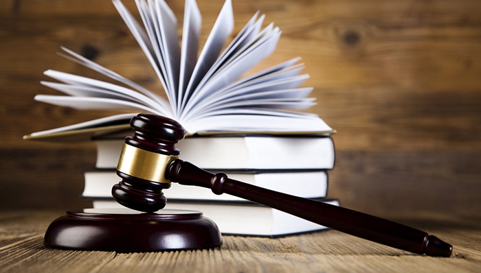 张德江,全国人大,立法