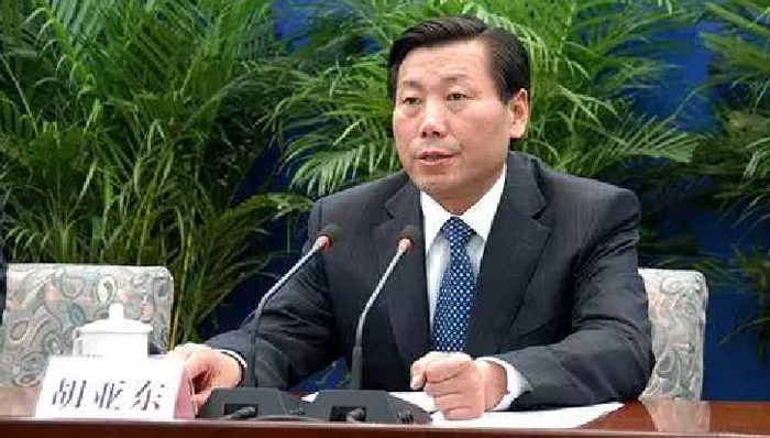 铁道部,,发改委,胡亚东,地下管廊