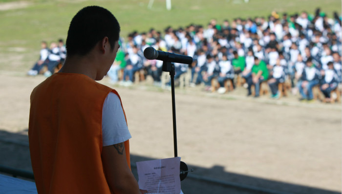 学校暴力,教育部,校园,法律