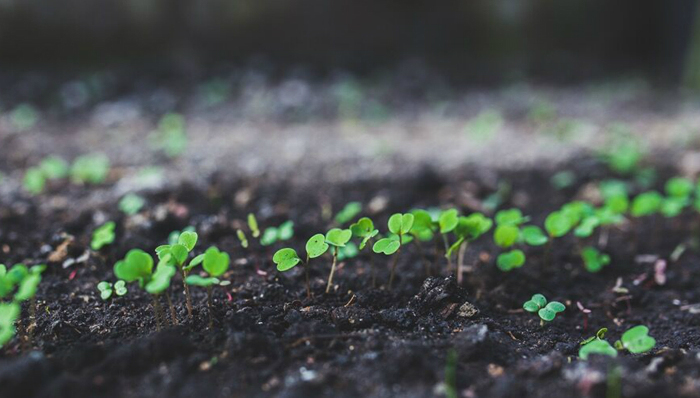 《中华人民共和国慈善法(草案)(二次审议稿修改稿)》,慈善法,人大
