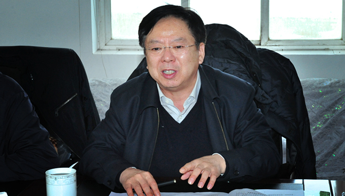 辽宁省,人大常委会副主任,王阳,被查