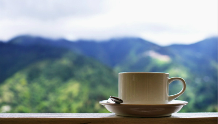 咖啡文化,蓝山咖啡,咖啡豆