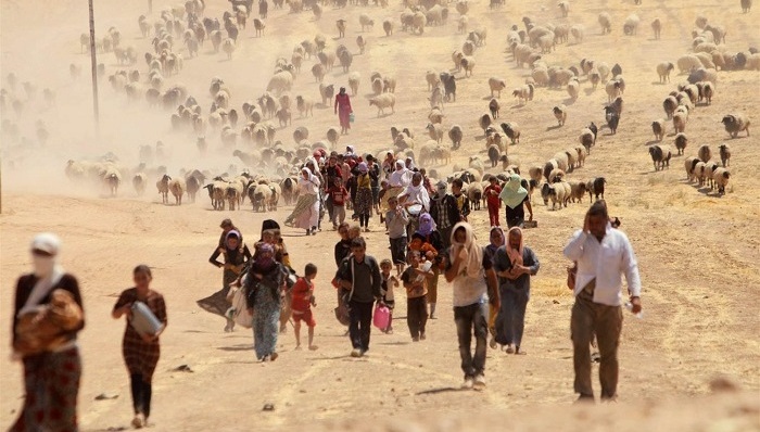 美国政治,中东北非,军情解码