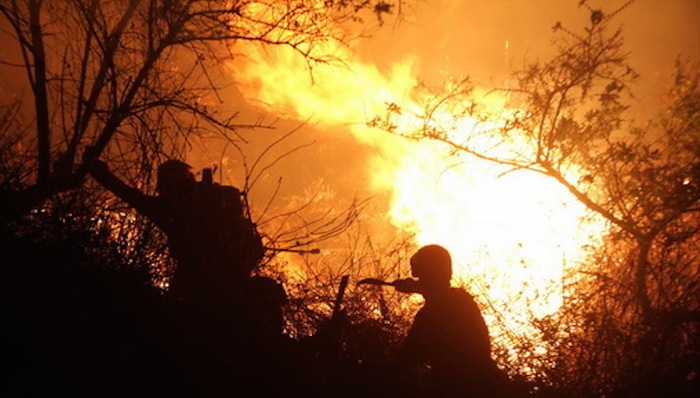 云南,玉溪,森林火灾,昆明