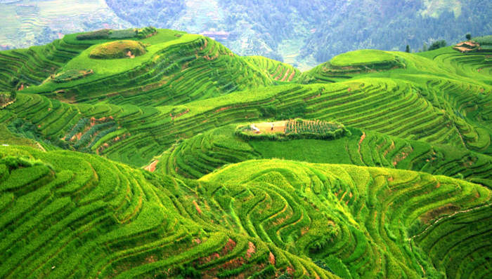 日本,梯田,农村,城镇化,养老