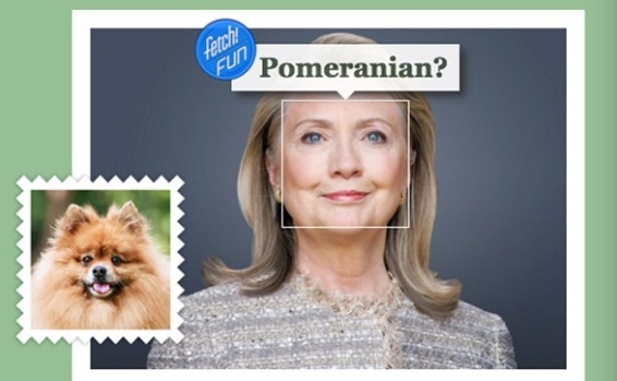 总统候选，恶搞，品牌