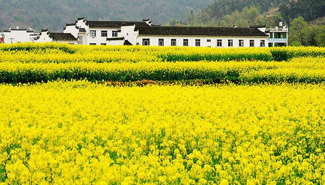 途家看好乡村度假租赁市场