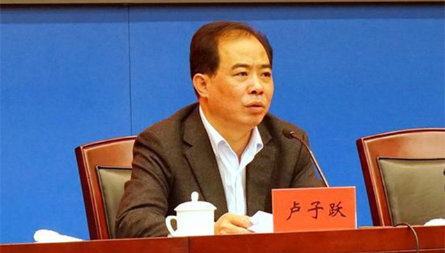 宁波,卢子跃,违纪,被免职