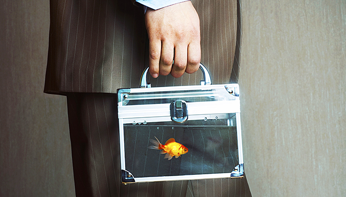 雅百特10亿定增投身智能建筑业