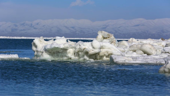 今日热点,社会热点