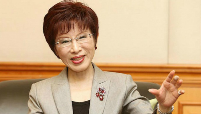 国民党，党主席选举