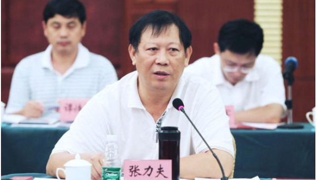 张力夫,开除党籍,副科级