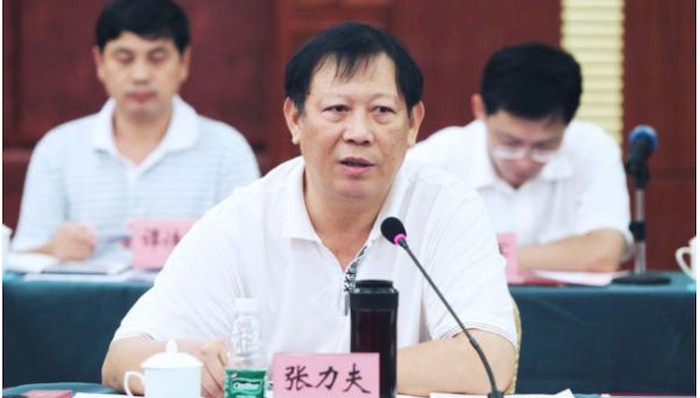 张力夫,开除党籍,副科级