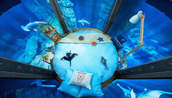 水族馆；Airbnb；鲨鱼