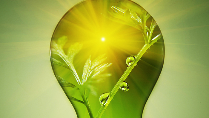 生物太阳能电池