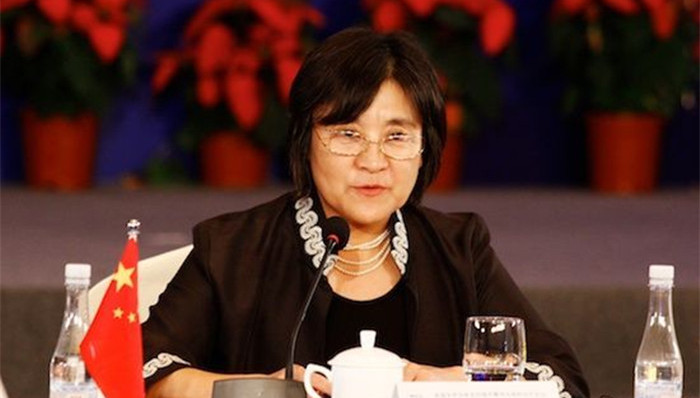 内蒙古,自治区,代主席,布小林