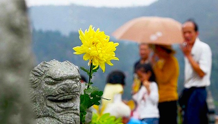 公墓,使用年限,民政部