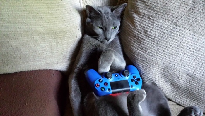 人文关怀 索尼为残疾玩家设计了一支游戏手柄