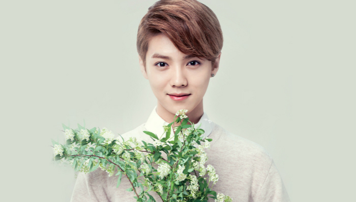 鹿晗,宋仲基,太阳的后裔,蕾哈娜