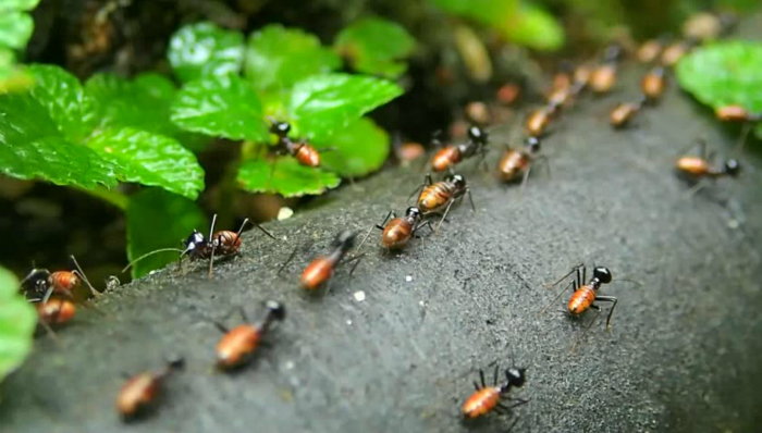 职场生态,企业管理,企业文化,团队协作