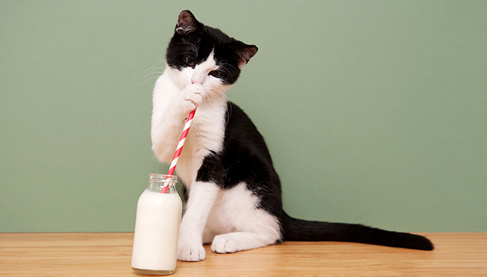 新希望加大对低温奶的投入