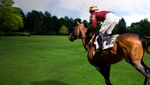 高大上的马术生意要开始赚钱了？
