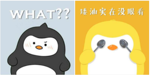 夜观星象|友船翻作者自称“没有崩溃”，papi酱回应整改称“接受批评”