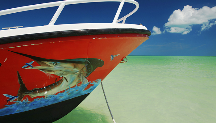 仿生机器鱼研究