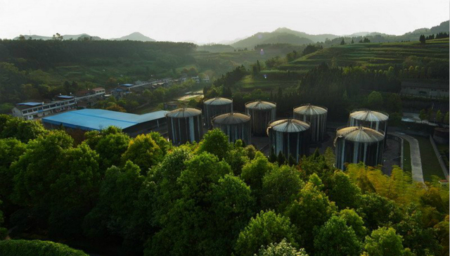 白酒,沱牌舍得,天洋集团