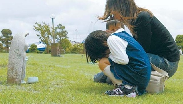 日本,熊本县,水俣病,水俣公约